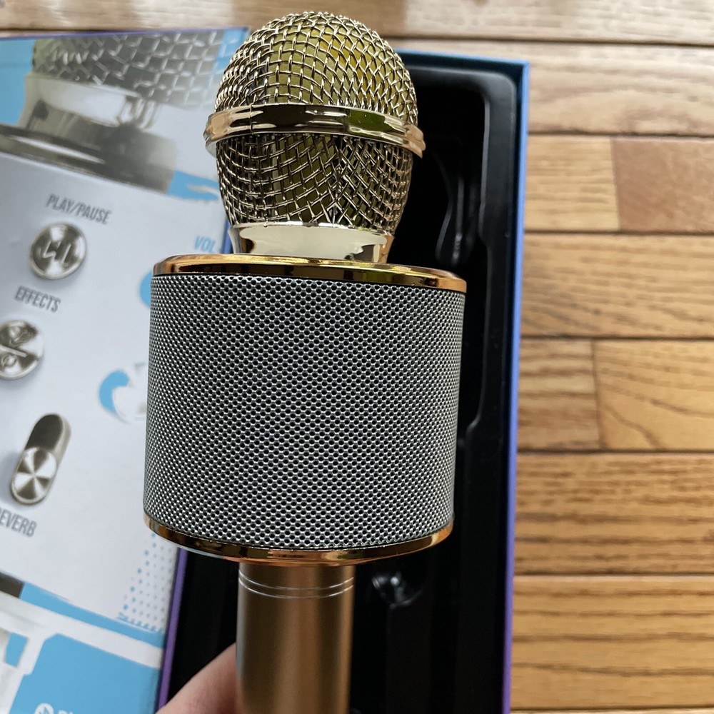 i joy Mic Queen wireless karaoke microphone and Bluetooth speaker