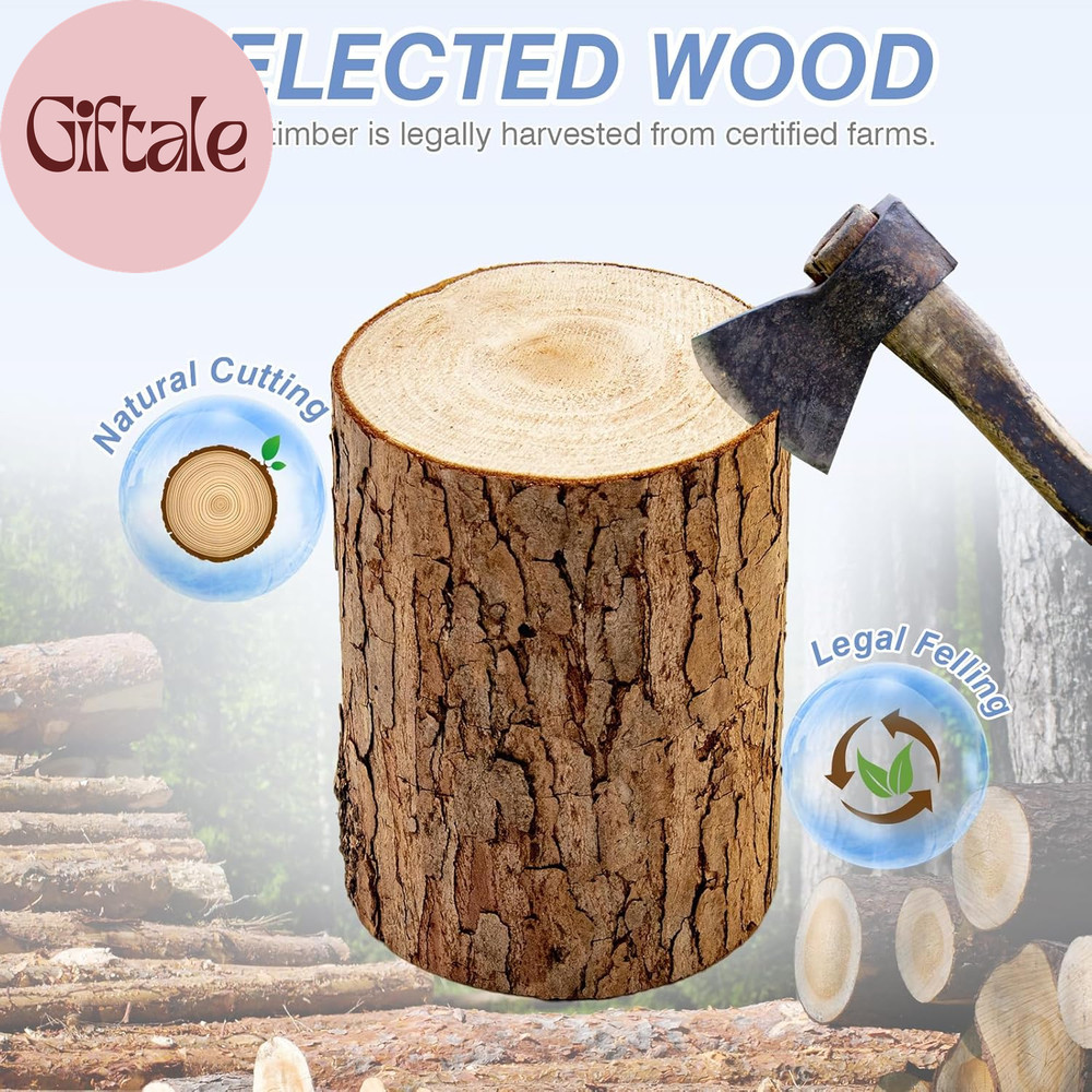 Newest Windows 10 Frame Beehive Starter Kit Hand Painted Includes Beekeeping Sup