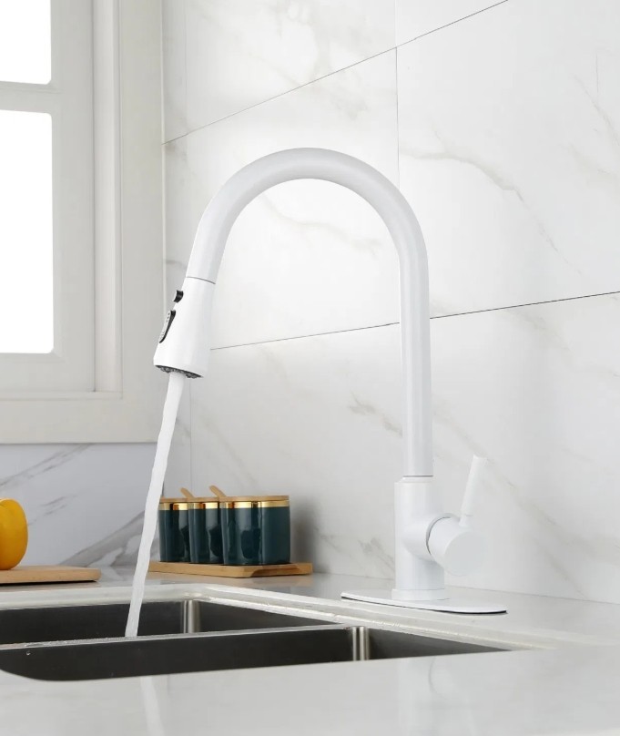 Kitchen Faucet with Pull Out Sprayer