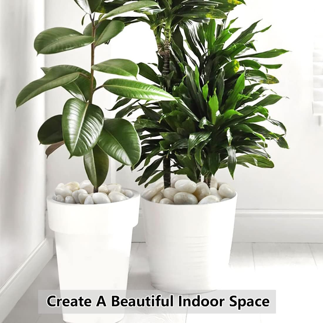 2Lbs White River Rocks, 1-2 Inch Natural Pebbles for Indoor Plants, High Polishe