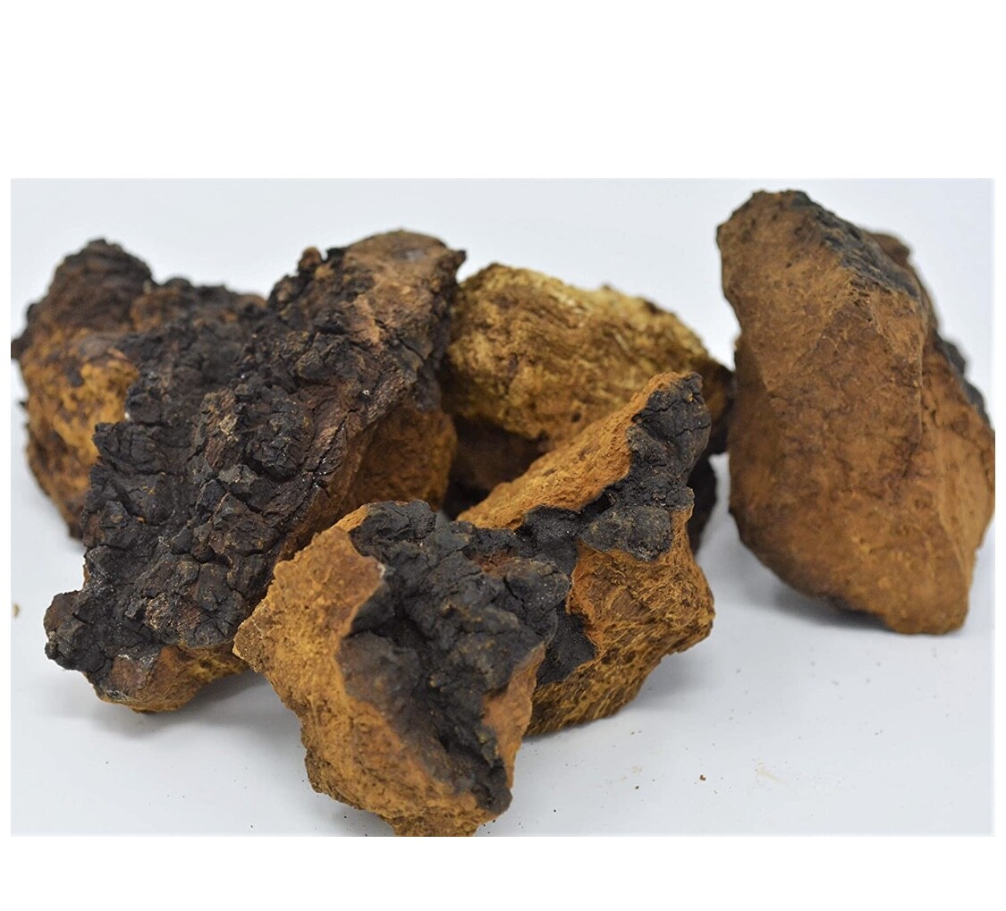 Northern Minnesota CHAGA chunks - 1.08LB PREMIUM MUSHROOM TEA ORGANIC