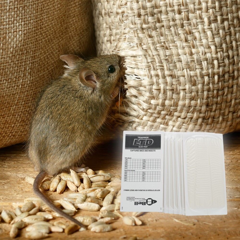 72 Trapper LTD Mouse Mice Insect Spider Roach Control Glue Boards