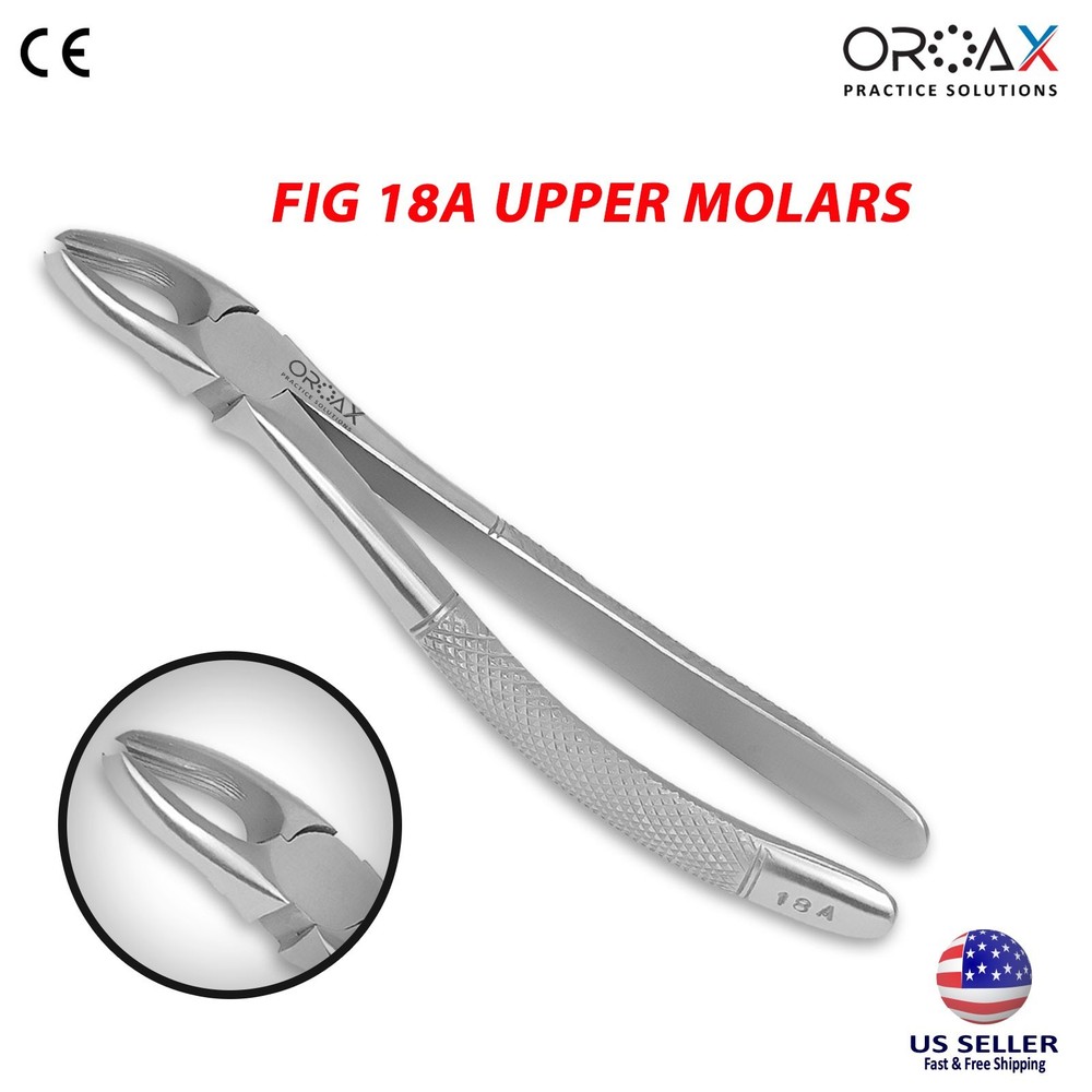 Oroax Fig 18A Dental Extraction Forceps Solid Handle Stainless Steel