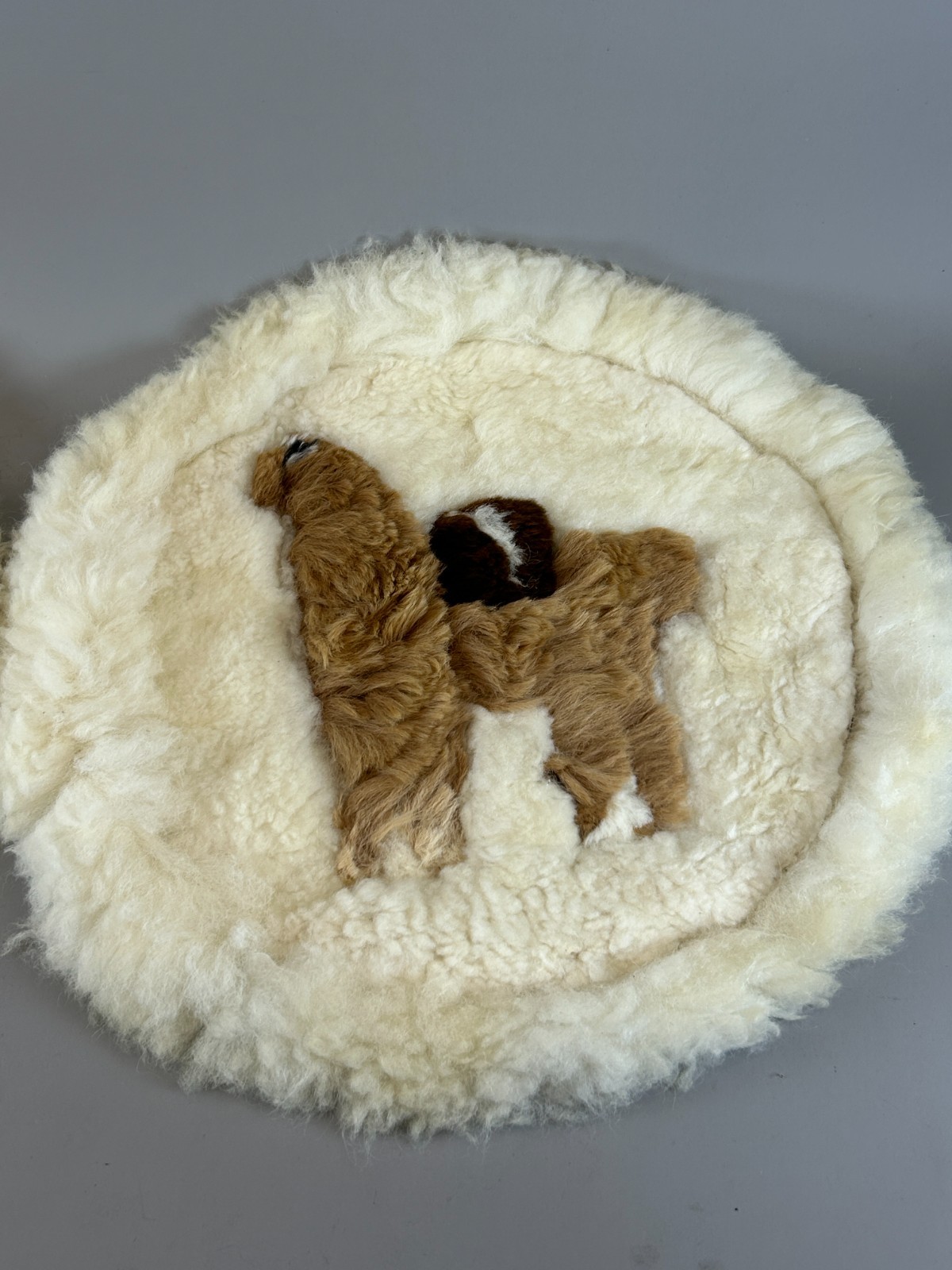 Set of 2 Alpaca Fur Round Rug Wall Hanging Decoration Pillow Cover 18" Peru