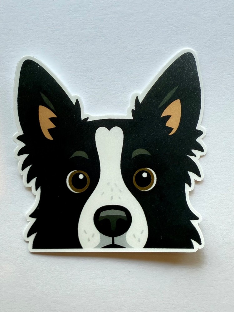 Border Collie Peeking Sticker