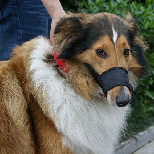 Nylon Dog Muzzle - Adjustable Quick Fit pet Muzzle Prevent from Biting Black