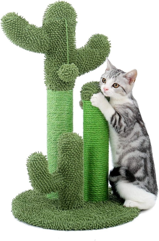 Cat Scratching Post Cactus Cat Scratcher Featuring Scratching