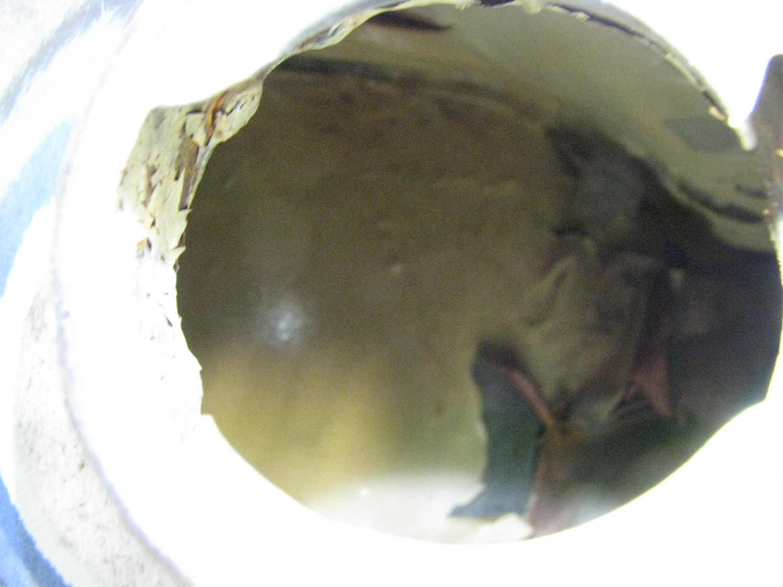 1970-84 Harley-Davidson FX FL 5 Gallon Gas Tank Set Fuel tank Fat BOB Tanks