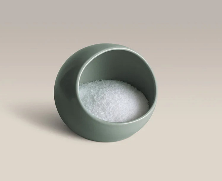 Year & Day Palm Green Ceramic Salt Cellar