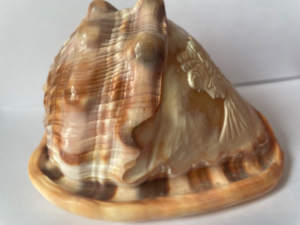 Scrimshaw shell cameo