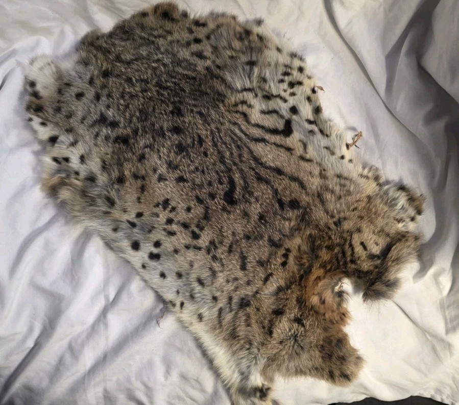 Rabbit Fur Pelts X 9 Rare Patterns 🔥 Georgous 🔥