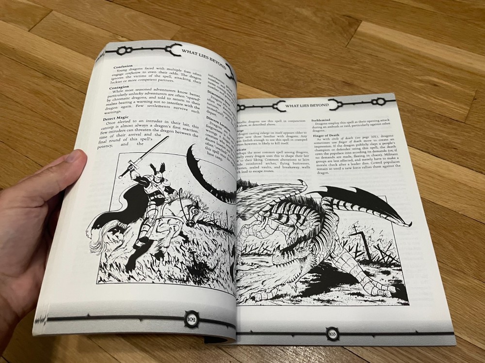 Dungeons & Dragons: Dragons AEG D20