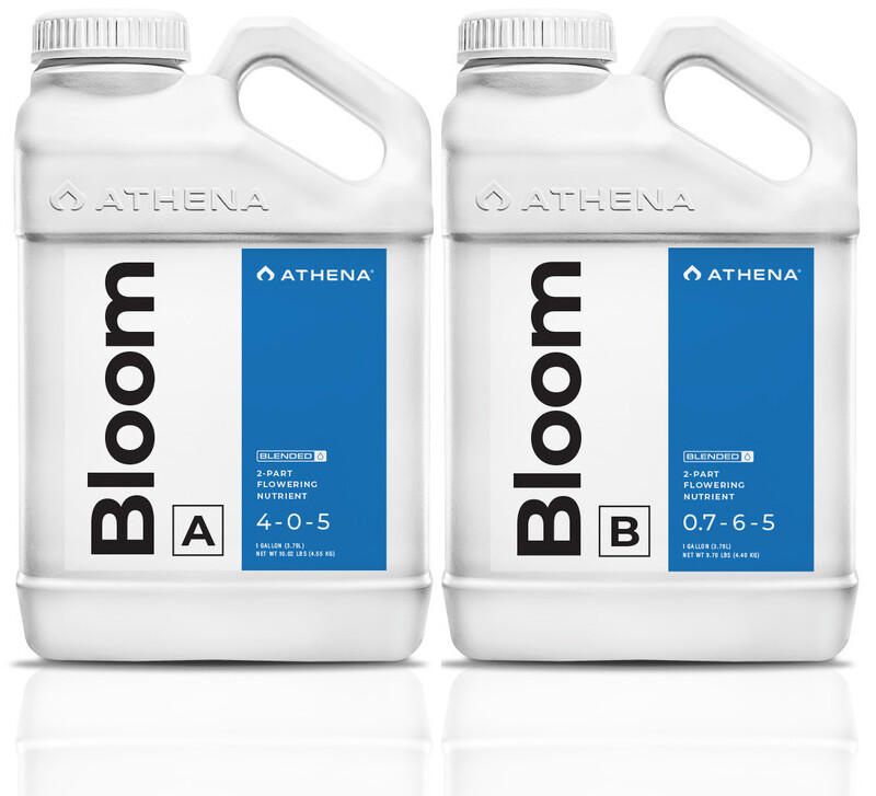 Athena Bloom A & B Combo Set