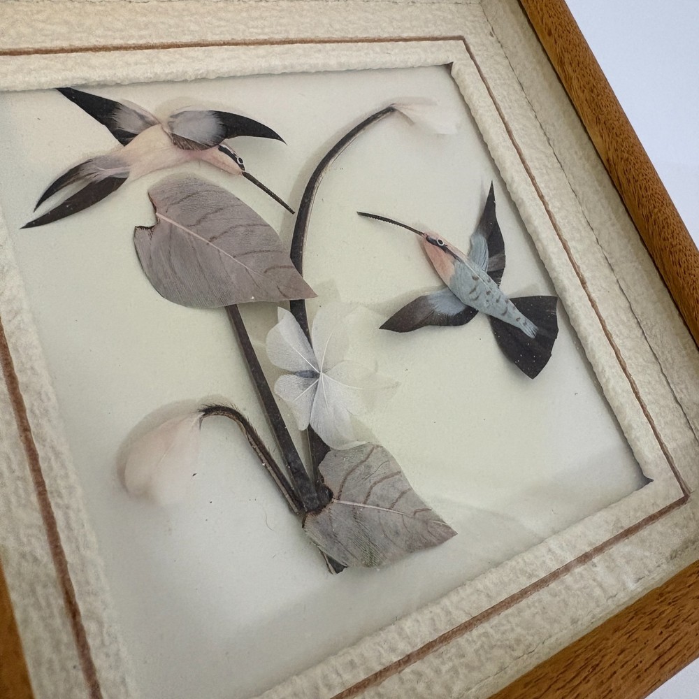 Hummingbird Feather Shadowbox Framed Art