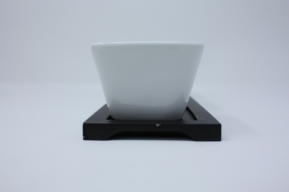 Simple Dining Entertaining 4 pc ceramic tidbit serving set in white w/black tray