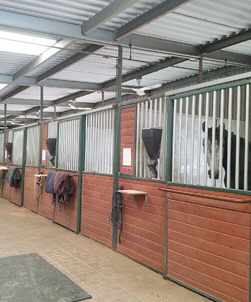 iFEED (2) Two Stall Starter Pack Automatic Horse/Livestock Feeder