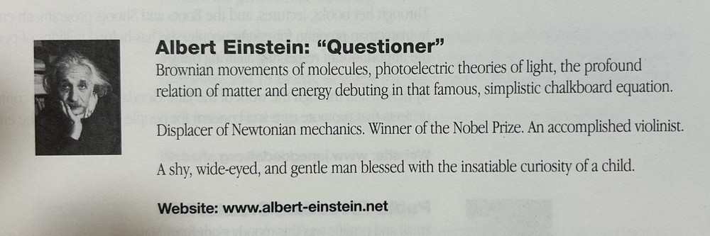 Apple Think Different Poster Albert Einstein – 16" x 12"