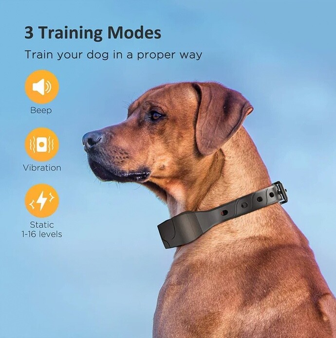 640 Pro (3000ft) Dog Training Collar (Medium/Large Breed) (Brown)