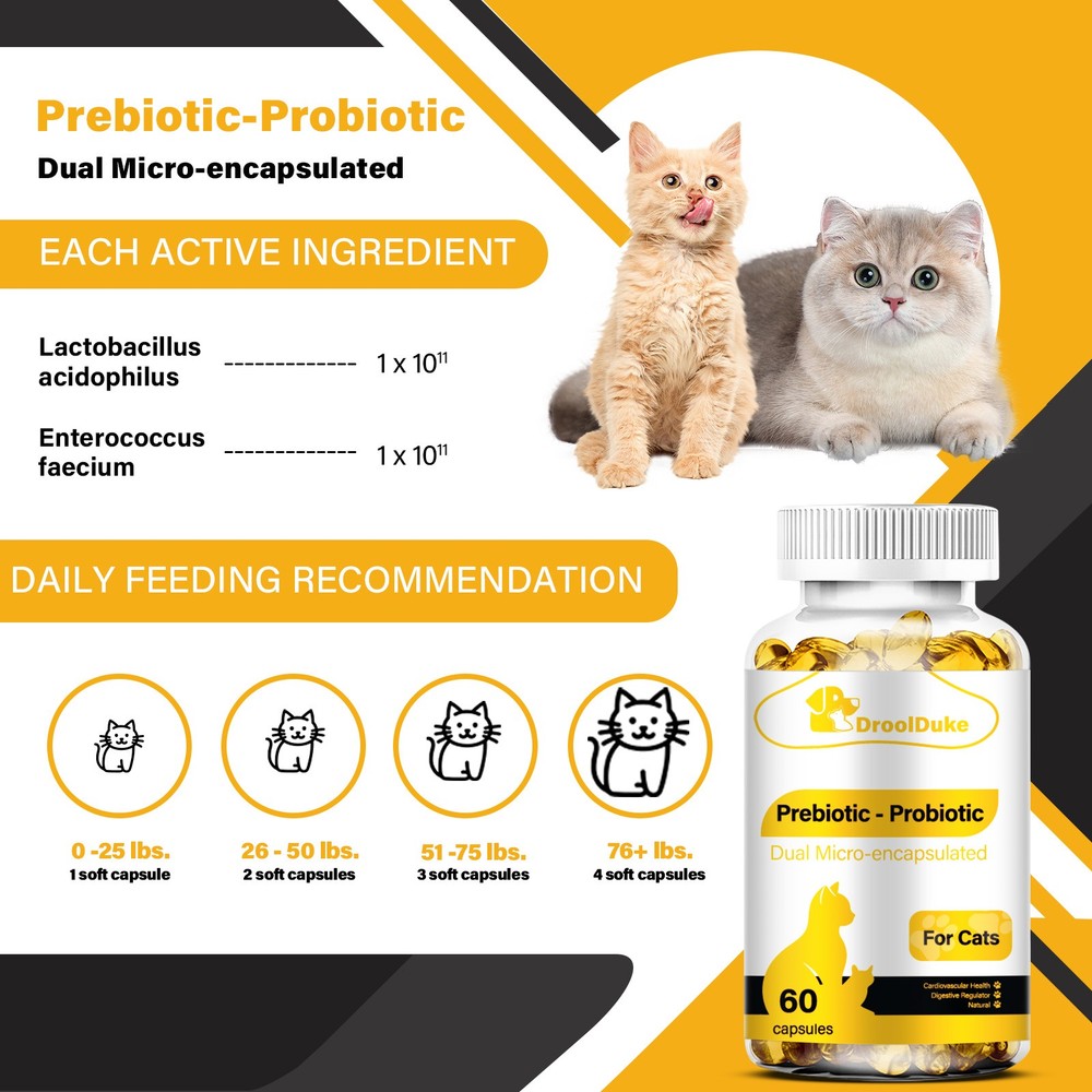 Cat Constipation Relief, Constipation Relief for Cat, Cat Laxative Constipation