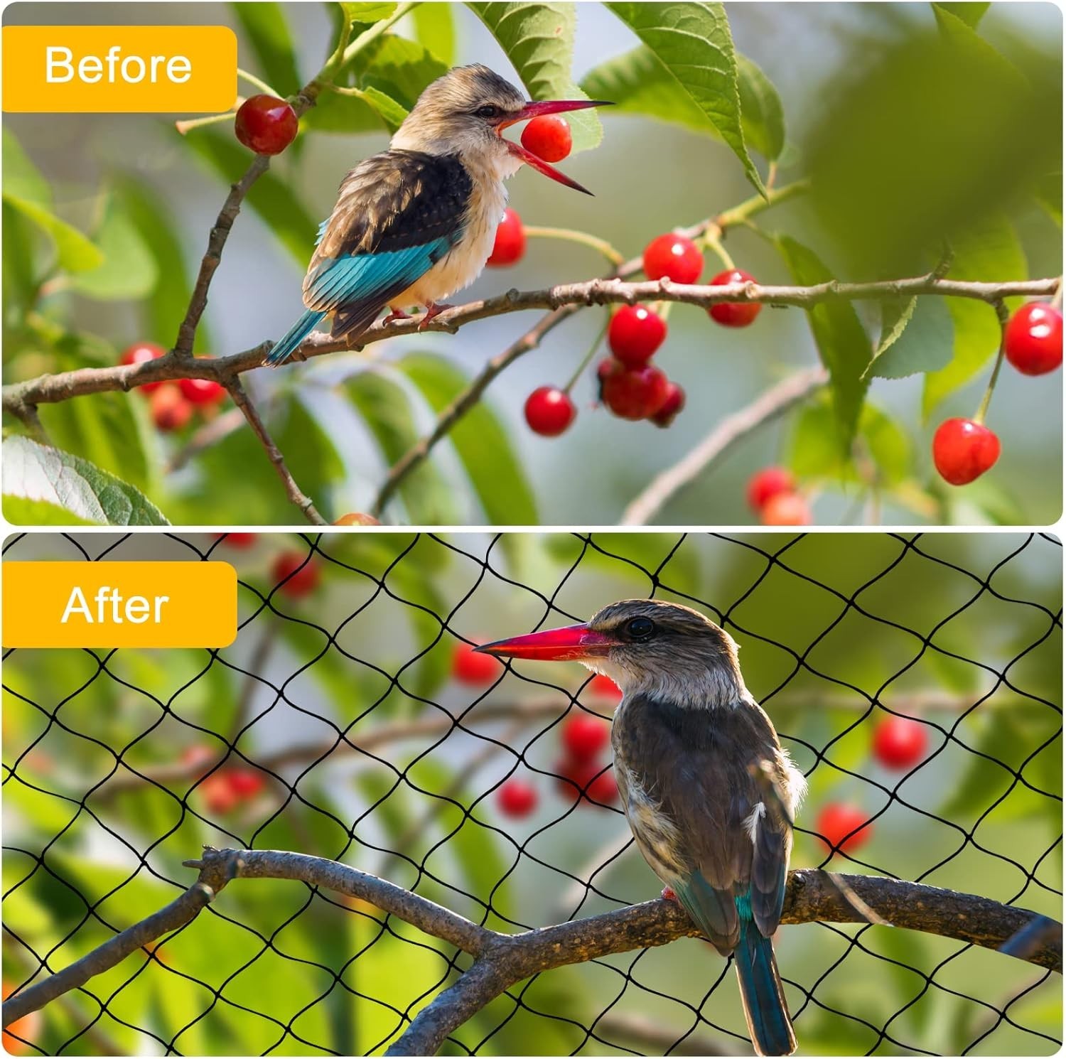 Premium Aviary Netting 25x50 FT – Heavy Duty Nylon Bird Net with 1" Mesh