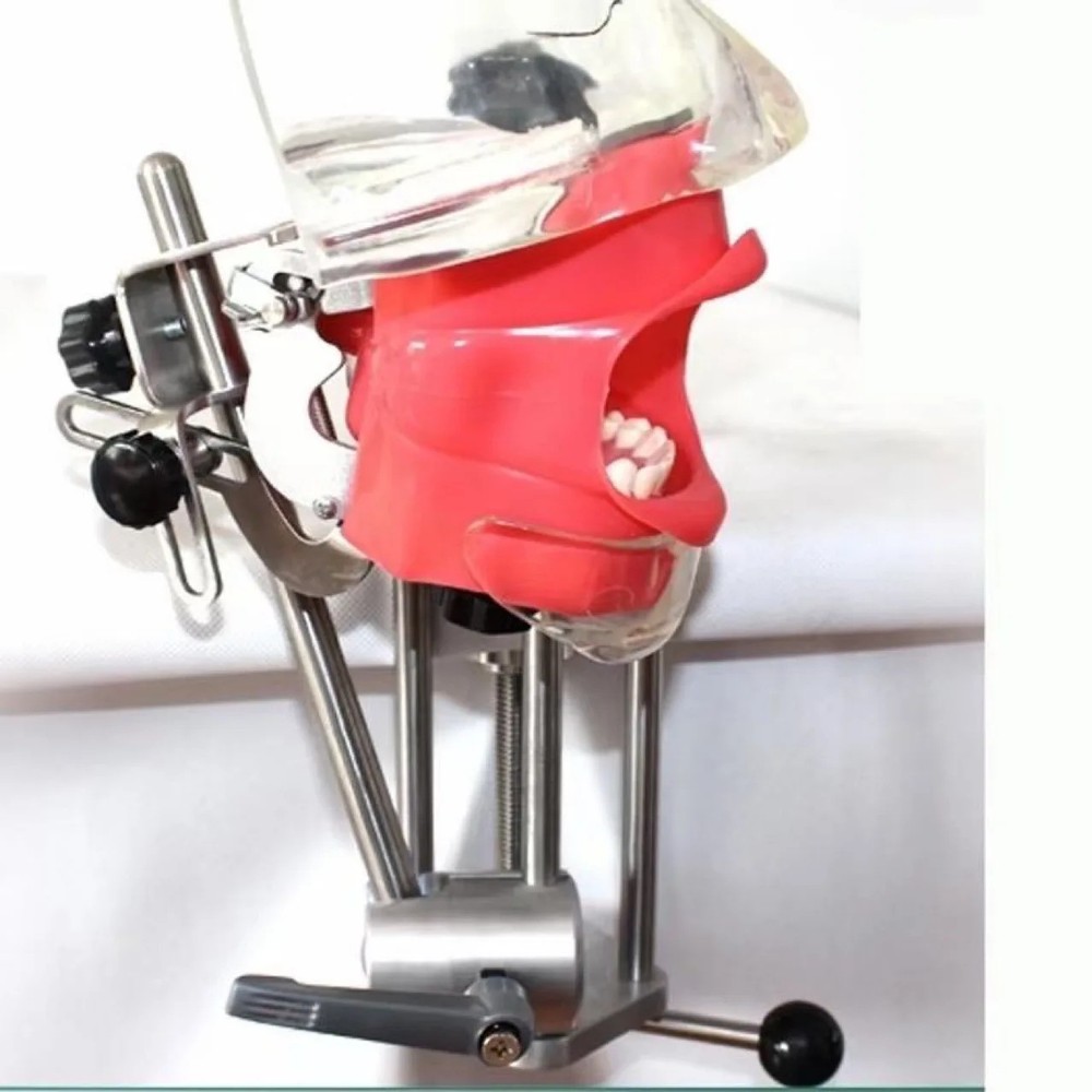 Dental Phantom Mannequin Head Simulator with Typodont Teeth Model for Training