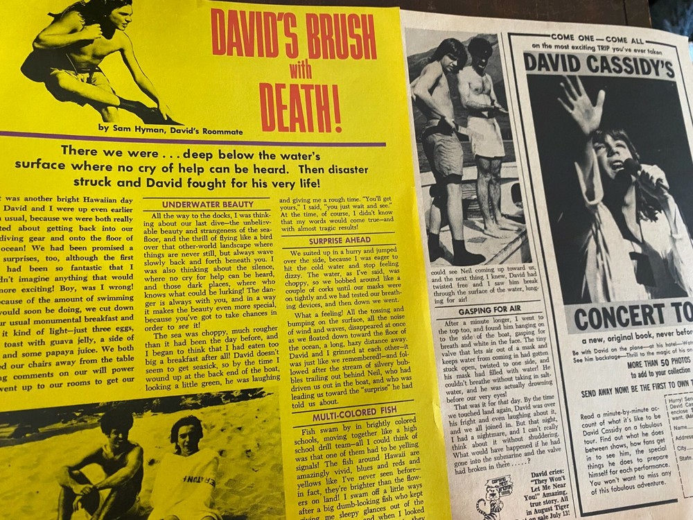 David Cassidy, Two Page Vintage Clipping