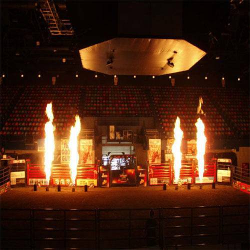 2Pcs DMX Fire Thrower Stage Flame Effect Projector Machine Disco Show Party 200W