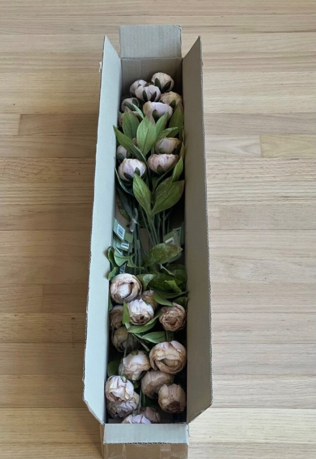 Set of 8 Stems - Viral Ashland Michael's Set of 8 Tan Peony Stems