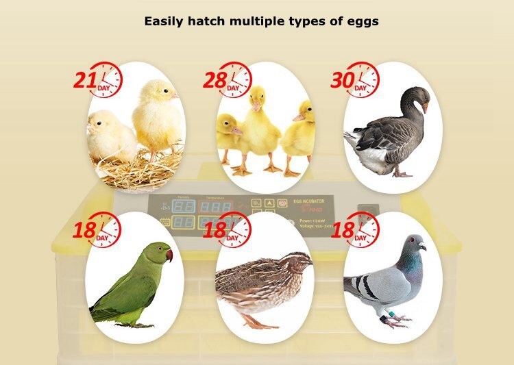 Egg Incubator 96 Eggs Automatic Digital Poultry Bird Chicken Quail Hatcher 110V
