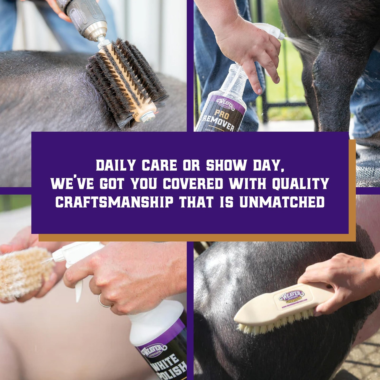 Grooming Brush for Goats, Sheep, Pigs, Cattle Stiff Bristles for Dirt Removal