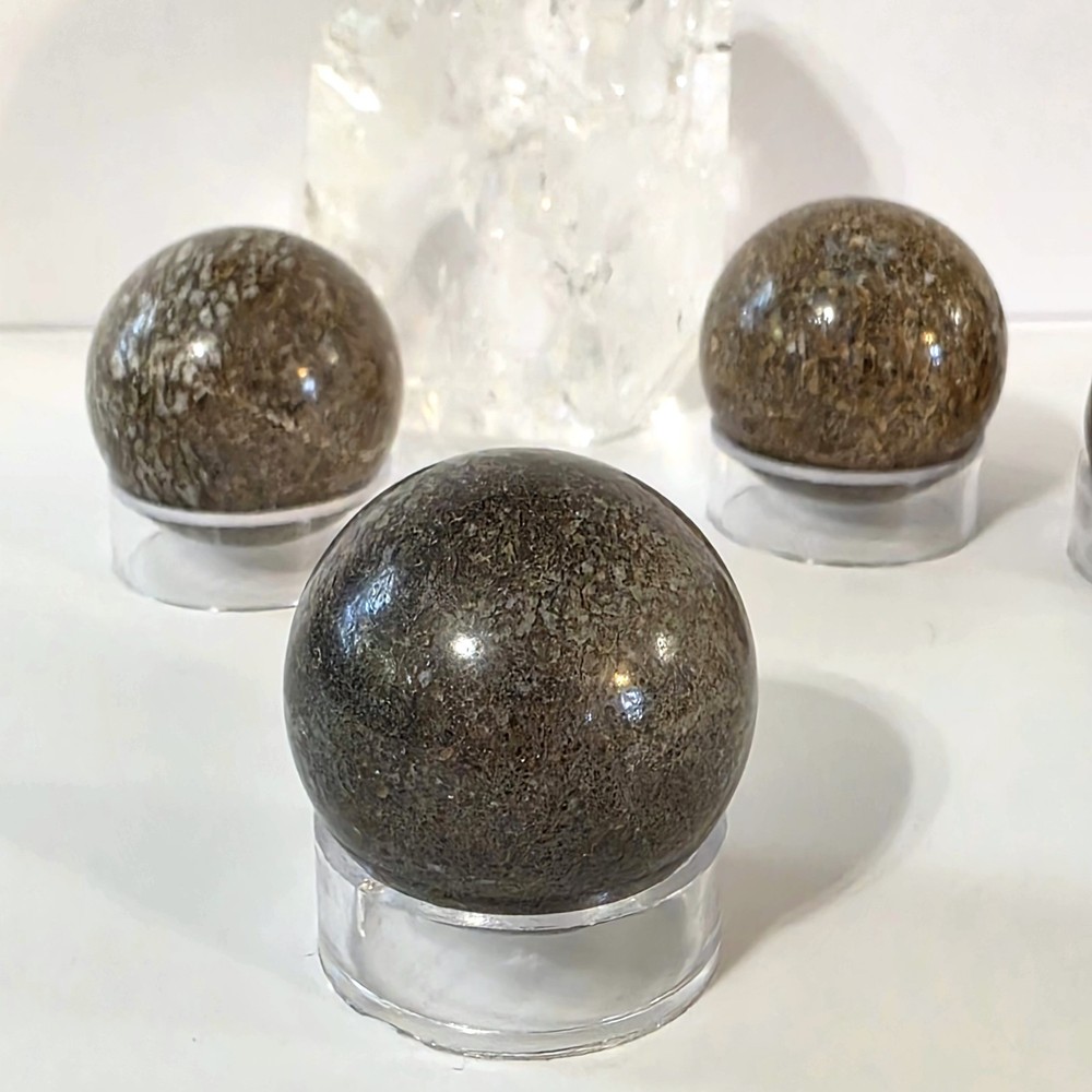 Dinosaur Bone Sphere #1- WYSIWYG