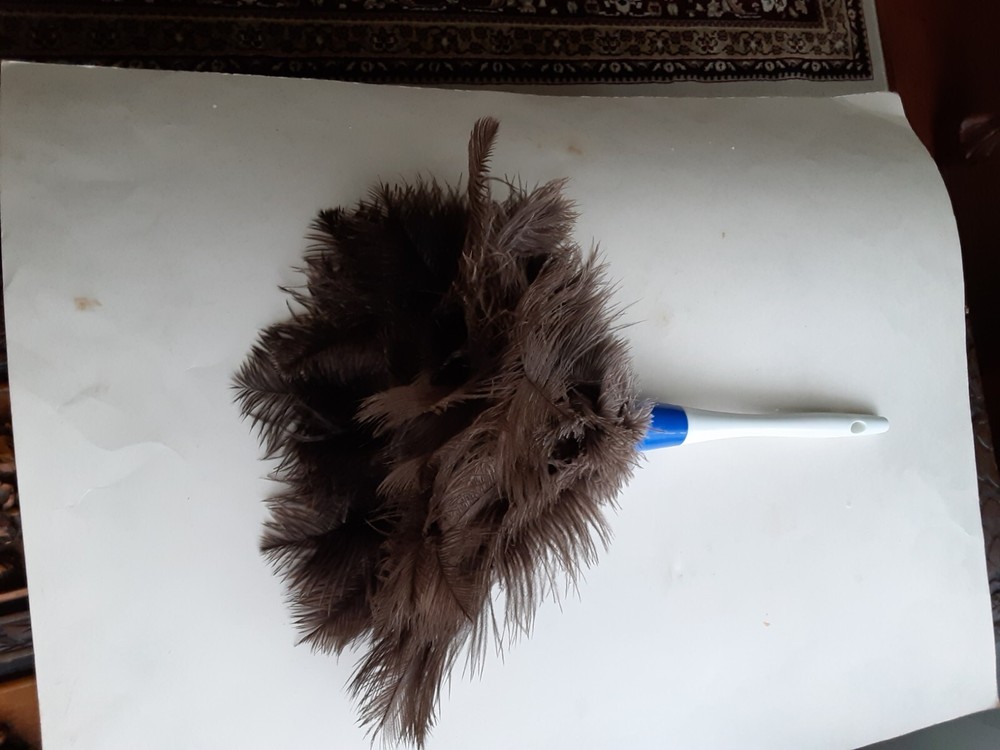 Feather Duster