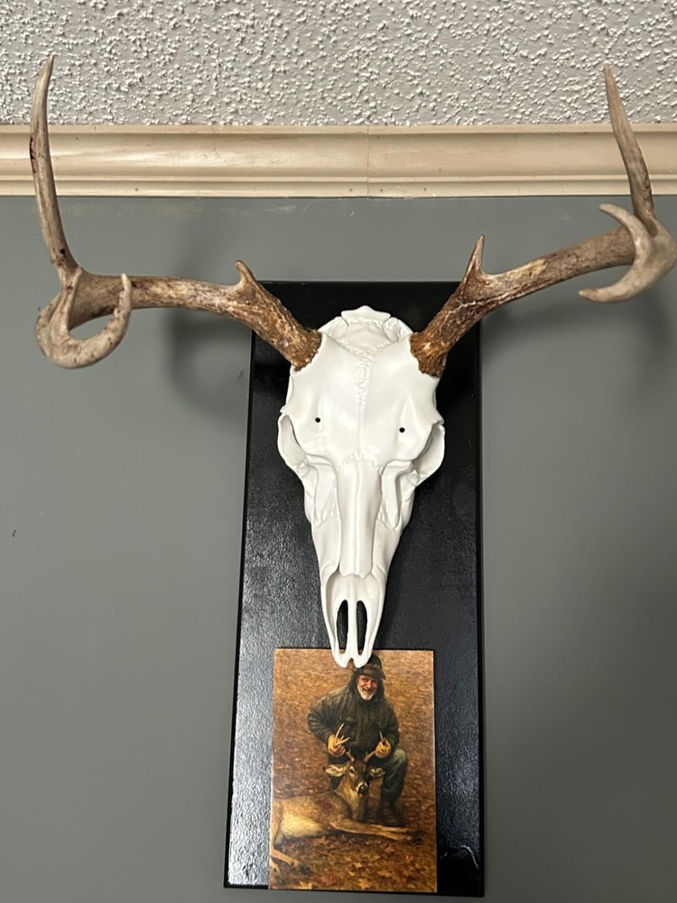Skull Master Antler Mounting Kit in Classic White - Universal Fit & Easy Setup