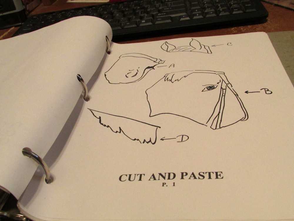 1991 NARHA Complete Riding Program for Therapeutic Horses Therapy Lessons