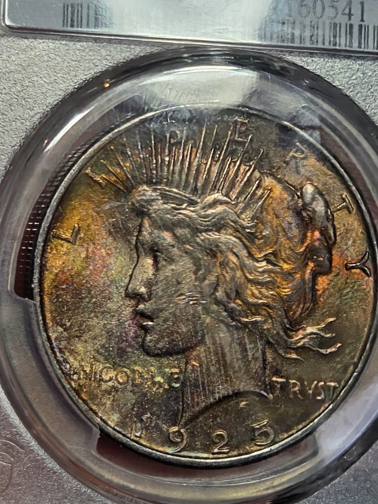 1925 $1 Peace Dollar PCGS MS63 Toned