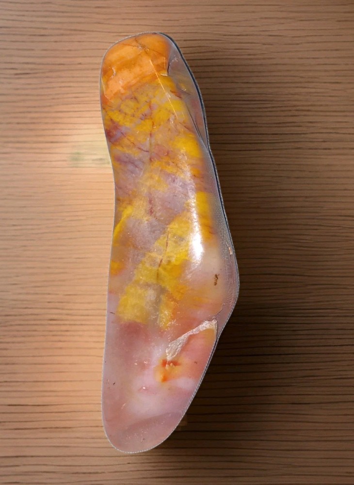 Rainbow Petrified Wood Polished