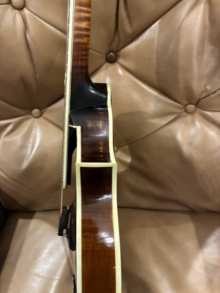 Doozy F Style Mandolin