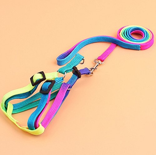 Hypeety Pet Bird Harness and Leash with Buckle Adorable Rainbow Design Safe P...