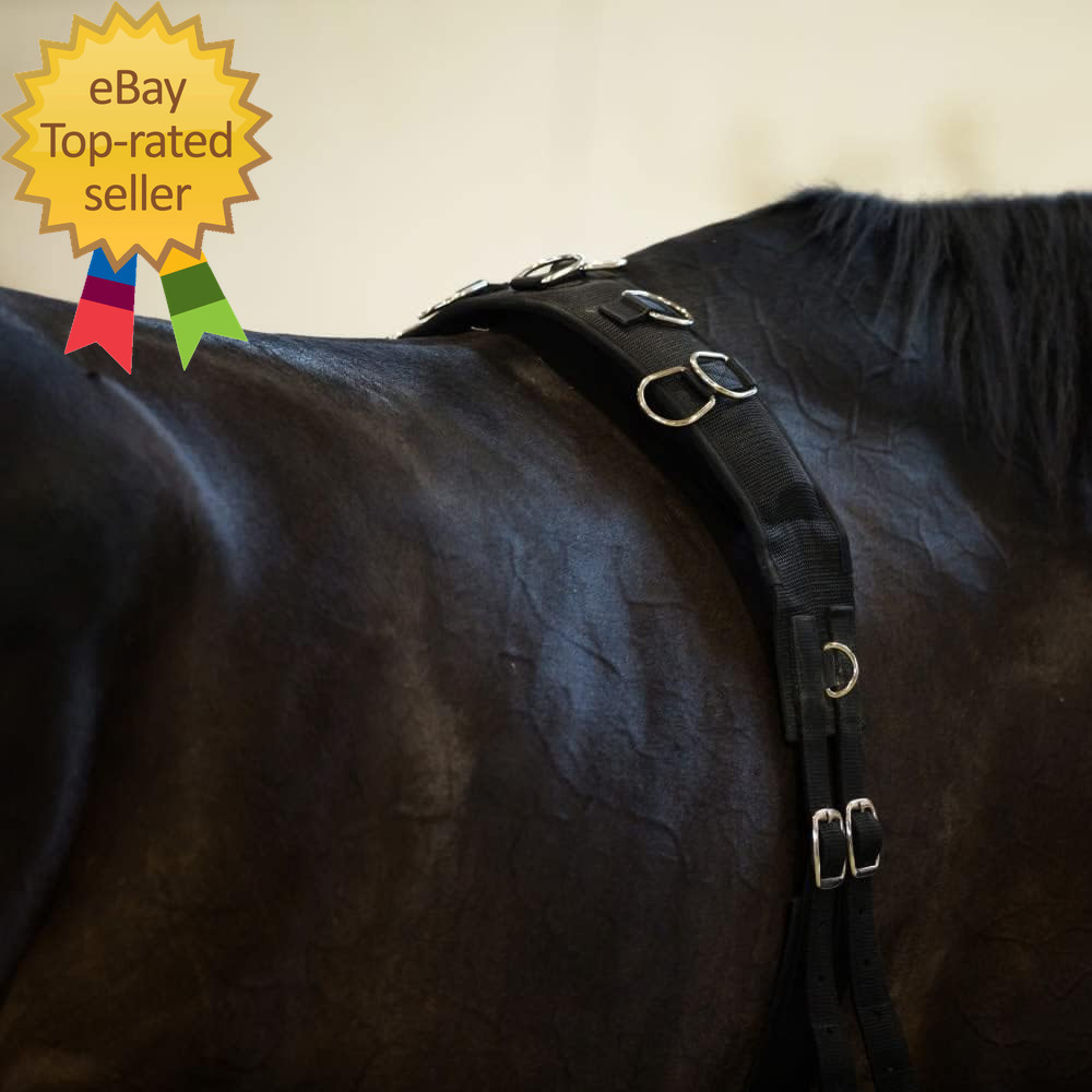 Lunging Surcingle for Horses Nylon Roller for Training