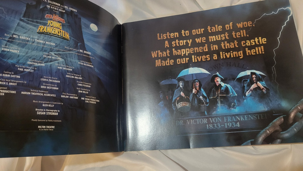 Sutton Foster Young Frankenstein Roger Bart Megan Mullally 2007 Program