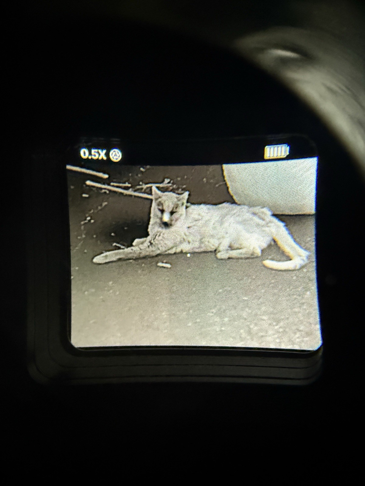 Monocular Magnifier - Infitac FMP-13 Compatible - Olive Brown