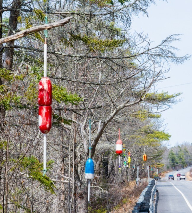 FREE SHIP 200 Maine Lobster BUOY nautical pot bouy float shore crab Lake CAPE