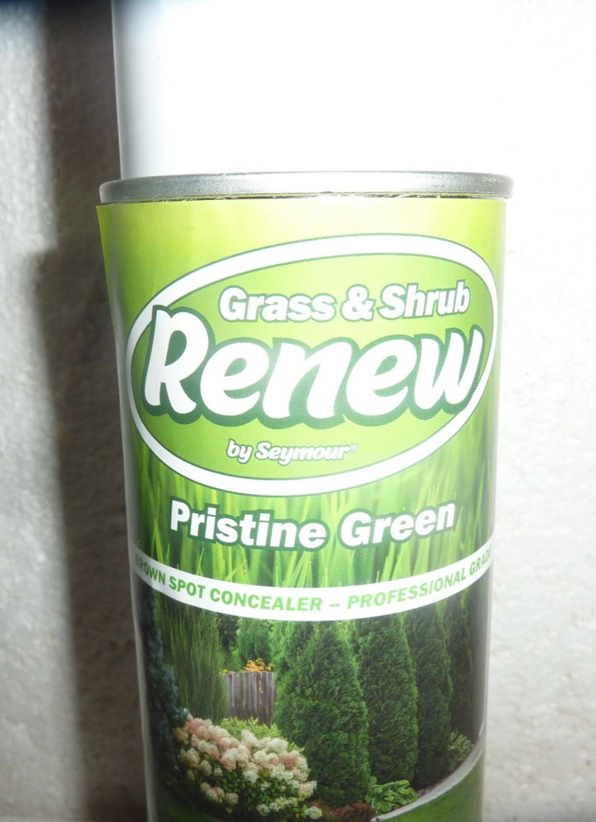 RENEW Grass and Shrub Pristine Green 1 - 17oz. Can New