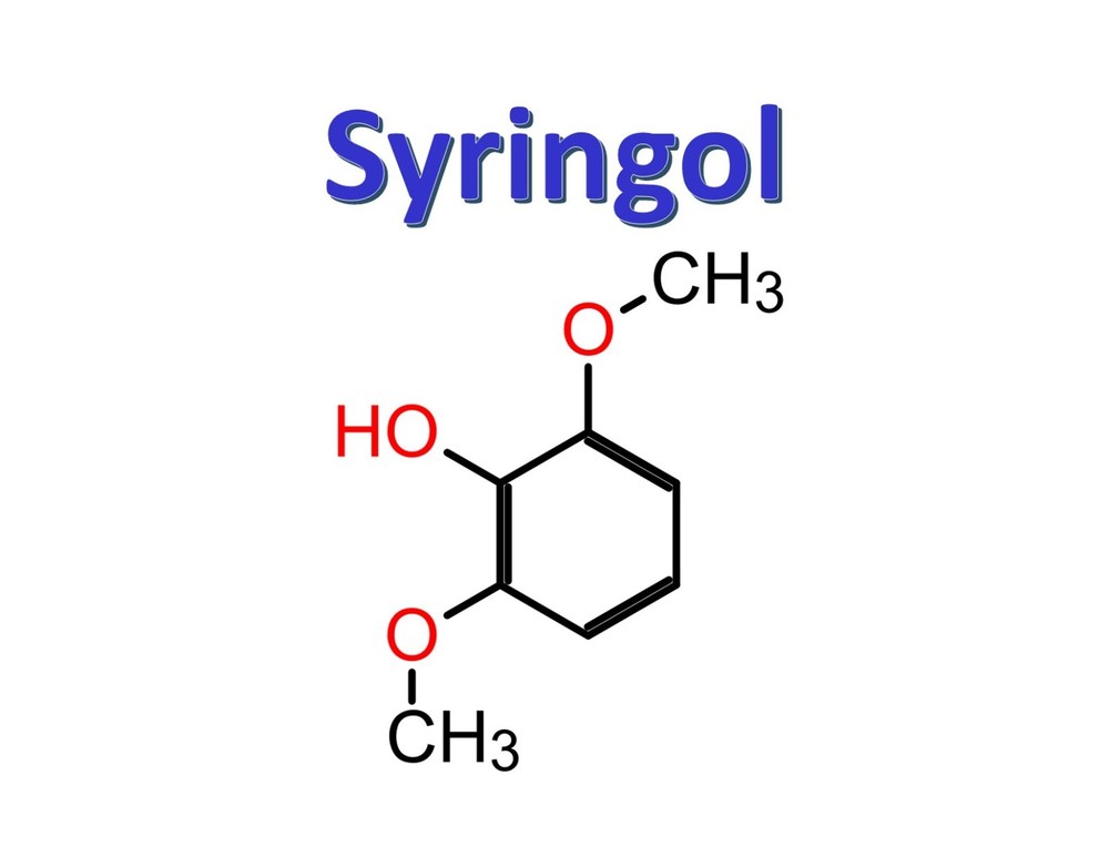 Syringol, CAS 91-10-1