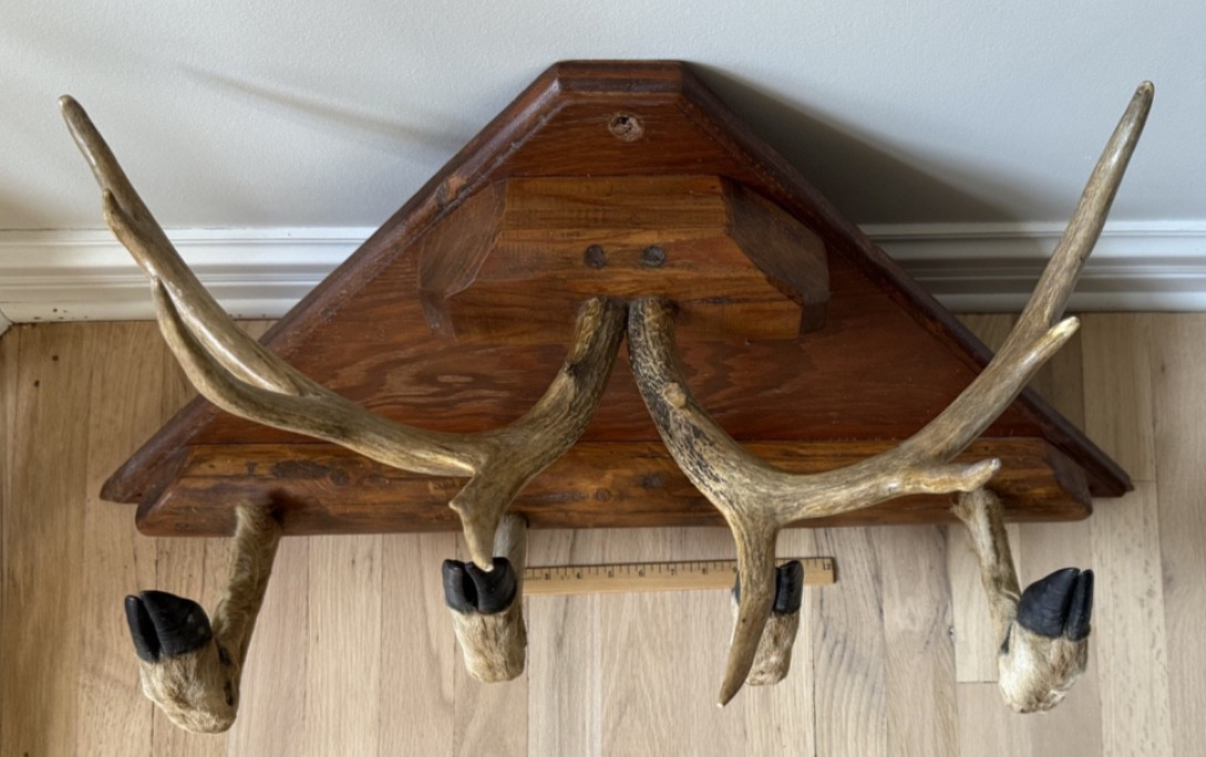 Vintage Taxidermy Deer Antler Hoof Coat Rack Hat Rack Man Cave Bar