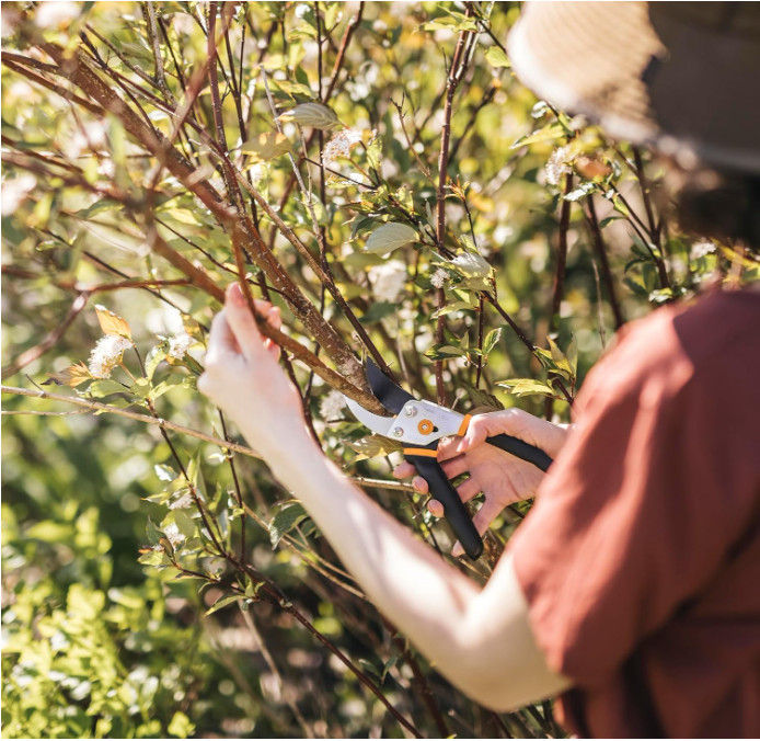 Fiskars Bypass Pruning Shears – 5/8” Cut Capacity, Sharp Rust-Resistant Blade