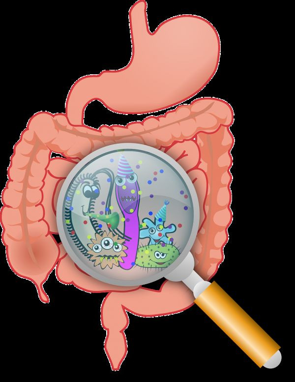 Bifidobacterium Longum - Probiotic Complex 40 Billion CFUs - Appetite Away 1B