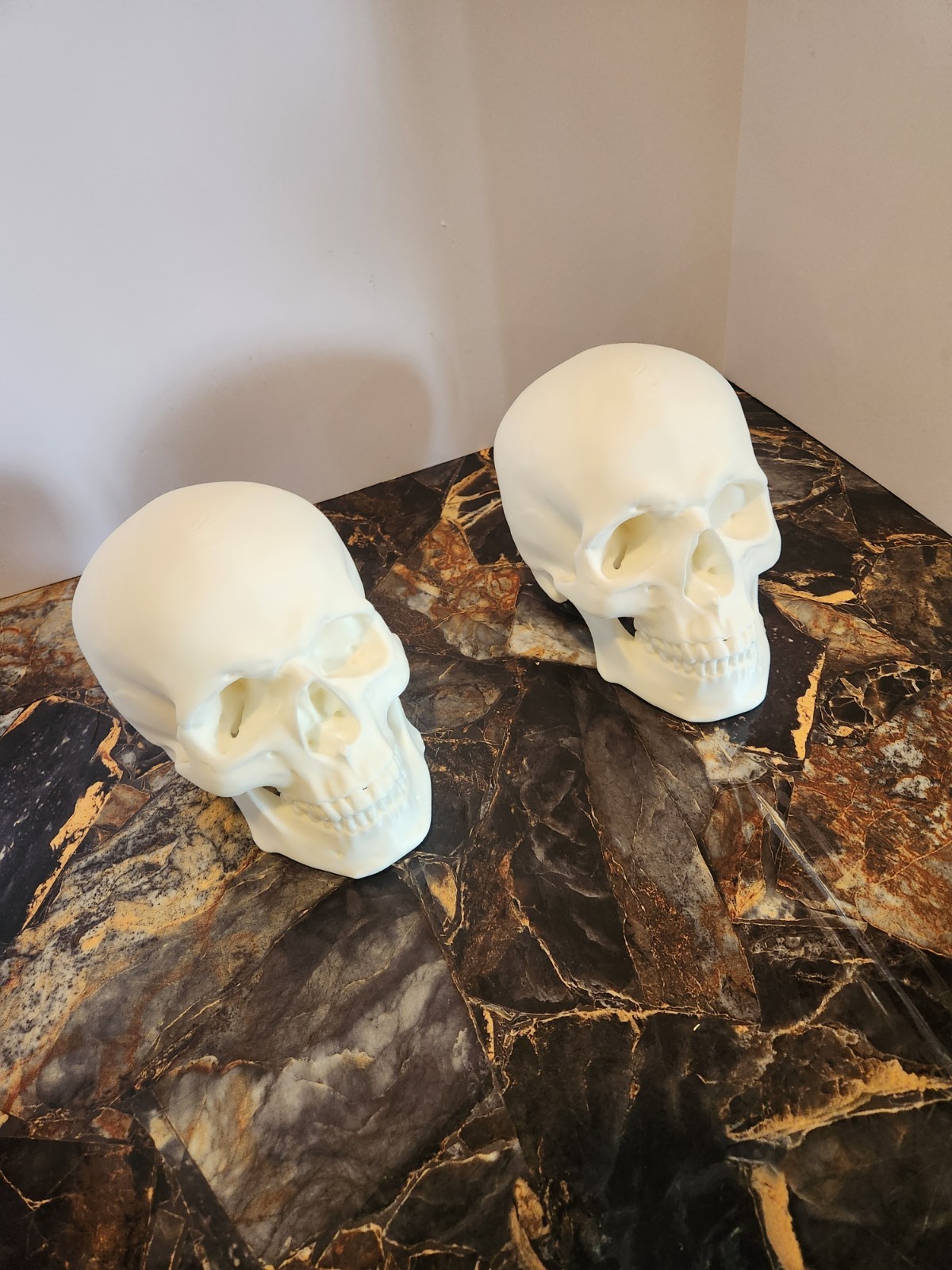 Human Skull Replica - 1:1 Medical Scan Anatomical-Study Gem