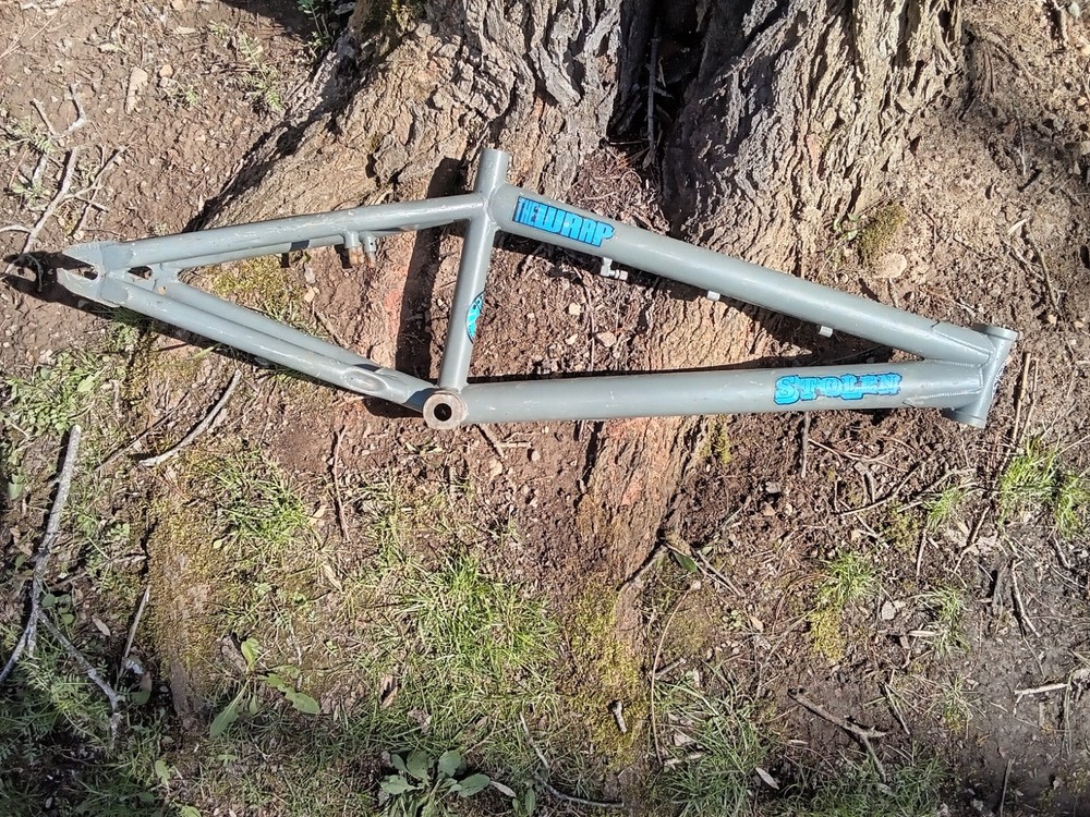 The Warp Bike Frame