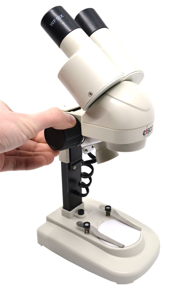 Stereoscopic Microscope, 45 Degree Binocular Head, Adjustable Pillar -Eisco Labs